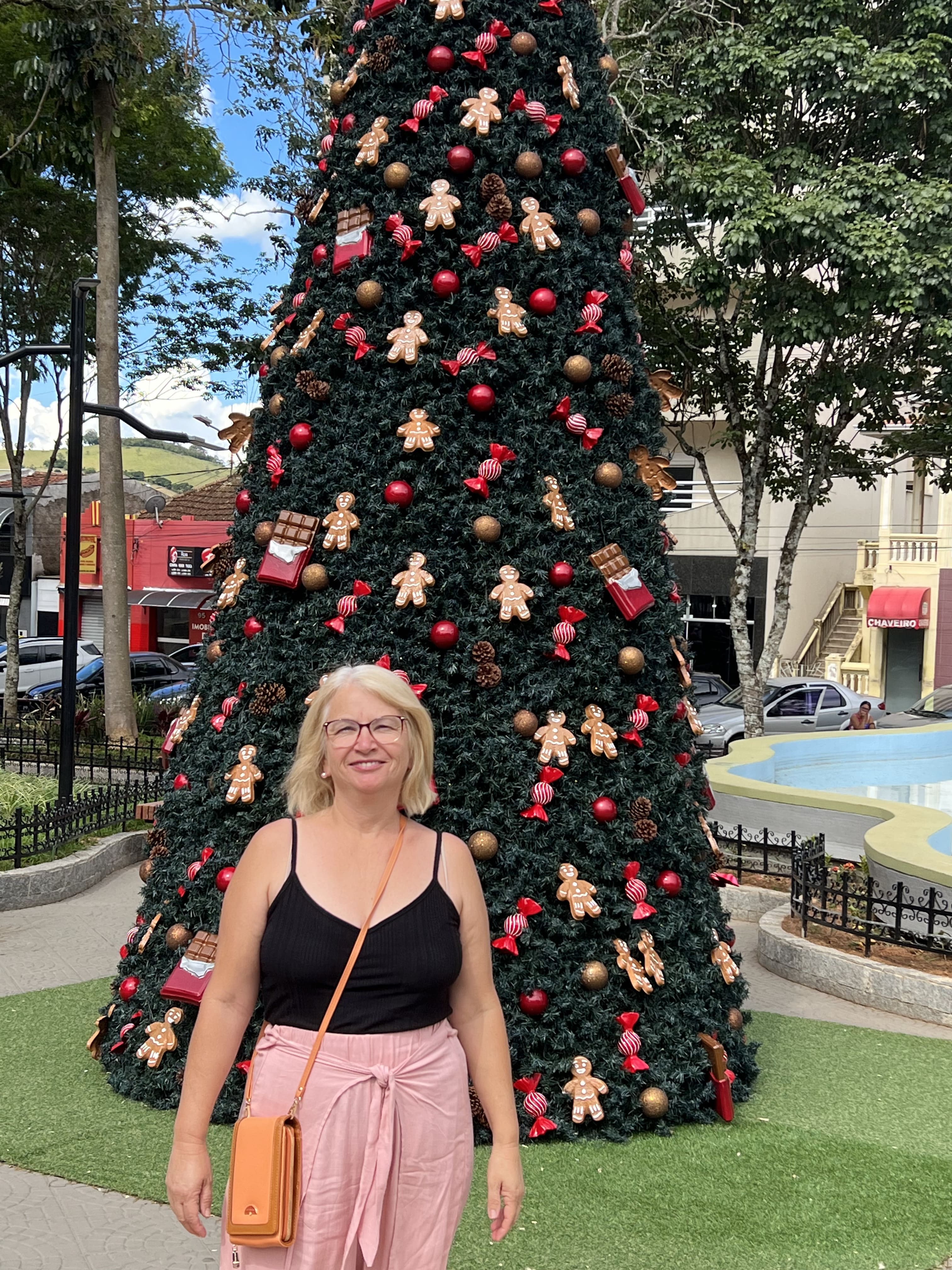 Rosemeire no Natal